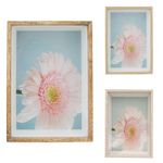 Porta_Retrato_(10x15)_Madeira_Mdf_E_Vidro_Blanc_Sortido_16,5x11,5cm_Ref.LM0972_honeyhome