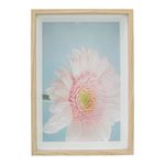 Porta_Retrato_(10x15)_Madeira_Mdf_E_Vidro_Blanc_Sortido_16,5x11,5cm_Ref.LM0972_honeyhome