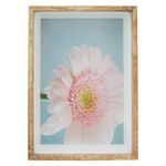 Porta_Retrato_(10x15)_Madeira_Mdf_E_Vidro_Blanc_Sortido_16,5x11,5cm_Ref.LM0972_honeyhome