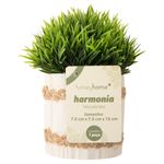 Vaso_Com_Plantas_Artificiais_Harmonia_Cimento_E_Plástico_Sortido_7,5x7,5x15cm_Ref.LM3802_honeyhome