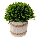 Vaso_Com_Plantas_Artificiais_Harmonia_Cimento_E_Plástico_Sortido_7,5x7,5x15cm_Ref.LM3802_honeyhome