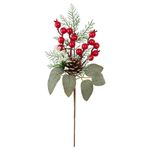 Enfeite_Galho_Natal_Frutas_Sortido_Espuma,_Plástico_Pvc,_Ferro_29x10x5cm_Ref.LM3453NTL_honeyhome