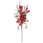Enfeite_Galho_Natal_Frutas_Sortido_Espuma,_Plástico_Pvc,_Ferro_29x10x5cm_Ref.LM3453NTL_honeyhome
