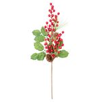 Enfeite_Galho_Natal_Frutas_Sortida_Espuma,_Plástico_Pvc,_Madeira,_Ferro_50x16x8cm_Ref.LM3455NTL_honeyhome