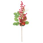 Enfeite_Galho_Natal_Frutas_Sortida_Espuma,_Plástico_Pvc,_Madeira,_Ferro_50x16x8cm_Ref.LM3455NTL_honeyhome