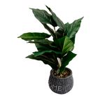 Vaso_Plantas_Harmonia_Cimento_E_Plástico_Pe_10,5x10,5x36cm_Ref.LM3807_honeyhome