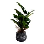 Vaso_Plantas_Harmonia_Cimento_E_Plástico_Pe_10,5x10,5x38cm_Ref.LM3808_honeyhome