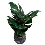 Vaso_Plantas_Harmonia_Cimento_E_Plástico_Pe_10,5x10,5x38cm_Ref.LM3808_honeyhome