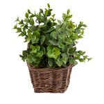 Vaso_Plantas_Sortido_Harmonia_Videira_E_Plástico_Pe_9x9x21cm_Ref.LM3811_honeyhome