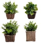 Vaso_Plantas_Sortido_Harmonia_Videira_E_Plástico_Pe_9x9x21cm_Ref.LM3811_honeyhome