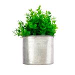 Vaso_Plantas_Sortido_Harmonia_Ferro_E_Plástico_Pe_11x11x22cm_Ref.LM3812_honeyhome