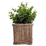 Vaso_Plantas_Sortido_Harmonia_Videira_E_Plástico_Pe_9x9x21cm_Ref.LM3811_honeyhome
