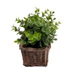 Vaso_Plantas_Sortido_Harmonia_Videira_E_Plástico_Pe_9x9x21cm_Ref.LM3811_honeyhome