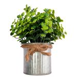Vaso_Plantas_Sortido_Harmonia_Ferro_E_Plástico_Pe_8x8x21cm_Ref.LM3810_honeyhome
