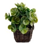 Vaso_Plantas_Sortido_Harmonia_Videira_E_Plástico_Pe_9x9x21cm_Ref.LM3811_honeyhome