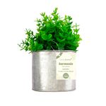 Vaso_Plantas_Sortido_Harmonia_Ferro_E_Plástico_Pe_11x11x22cm_Ref.LM3812_honeyhome