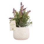Vaso_Lavanda_Harmonia_Cimento_E_Plástico_Pvc_11x11x26cm_Ref.LM3817_honeyhome