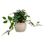 Vaso_Planta_Sortido_Harmonia_Cimento_E_Plástico_Pe_9x9x18cm_Ref.LM3803_honeyhome