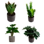 Vaso_Plantas_Sortido_Harmonia_Cimento_E_Plástico_Pvc_10x10x30cm_Ref.LM3809_honeyhome