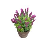 Vaso_Plantas_Sortido_Harmonia_Cimento_E_Plástico_Pe_7x7x23cm_Ref.LM3814_honeyhome