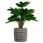 Vaso_Plantas_Sortido_Harmonia_Cimento_E_Plástico_Pvc_10x10x30cm_Ref.LM3809_honeyhome