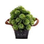 Vaso_Plantas_Harmonia_Sortido_Plástico_Pp,_Pe_E_Pvc_7x7x18cm_Ref.LM3813_honeyhome