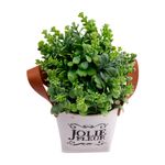 Vaso_Plantas_Harmonia_Sortido_Plástico_Pp,_Pe_E_Pvc_7x7x18cm_Ref.LM3813_honeyhome