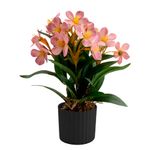 Vaso_Flores_Sortido_Harmonia_Plástico_Pp_E_Pe_8x8x29cm_Ref.LM3806_honeyhome