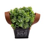 Vaso_Plantas_Harmonia_Sortido_Plástico_Pp,_Pe_E_Pvc_7x7x18cm_Ref.LM3813_honeyhome
