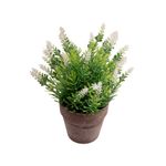 Vaso_Plantas_Sortido_Harmonia_Cimento_E_Plástico_Pe_7x7x23cm_Ref.LM3814_honeyhome