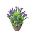 Vaso_Plantas_Sortido_Harmonia_Cimento_E_Plástico_Pe_7x7x23cm_Ref.LM3814_honeyhome
