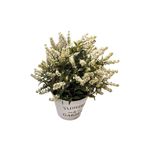 vaso_de_Plantas_Harmonia_Sortido_Plástico_Pp,_Pe_E_Espuma_10x10x23cm_Ref.LM3819_honeyhome