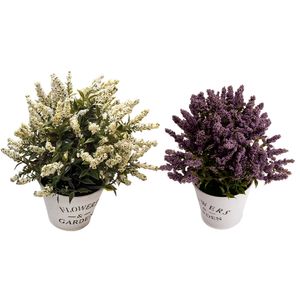 Vaso de Plantas Harmonia Sortido Plástico PP, PE e Espuma 10x10x23cm LM3819 - honeyhome