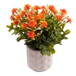 Vaso_de_Flores_Harmonia_Sortido_Polpa_E_Plástico_Pe_8x8x22cm_Ref.LM3820_honeyhome