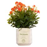 Vaso_de_Flores_Harmonia_Sortido_Polpa_E_Plástico_Pe_8x8x22cm_Ref.LM3820_honeyhome