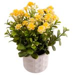 Vaso_de_Flores_Harmonia_Sortido_Polpa_E_Plástico_Pe_8x8x22cm_Ref.LM3820_honeyhome