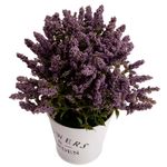 vaso_de_Plantas_Harmonia_Sortido_Plástico_Pp,_Pe_E_Espuma_10x10x23cm_Ref.LM3819_honeyhome