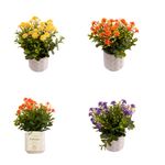 Vaso_de_Flores_Harmonia_Sortido_Polpa_E_Plástico_Pe_8x8x22cm_Ref.LM3820_honeyhome