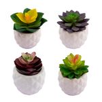 Vaso_Suculenta_Sortido_Harmonia_Cerâmica_E_Plástico_Pe_6x6x9cm_Ref.LM3826_honeyhome