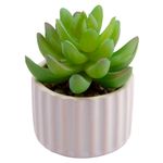 Vaso_Suculenta_Harmonia_Cerâmica_E_Plástico_Pe_Sortido_7x7x8cm_Ref.LM3825_honeyhome