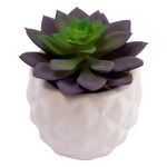 Vaso_Suculenta_Sortido_Harmonia_Cerâmica_E_Plástico_Pe_6x6x9cm_Ref.LM3826_honeyhome