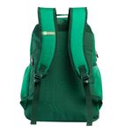 Mochila_de_Costas_Esportiva_Palmeiras_Ref.16472_Xeryus