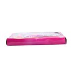 Conjunto_Bonecas_Adrieli_Mundo_das_Fadas_Plástico_3_Peças_LM3191_-_honeyhome