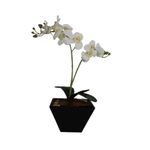 Vaso_MDF_Orquídea_1_Arranjo_Flores_Branca_Sortido_Tamanho_G_DF04_-_Dila_Flores