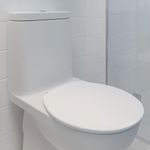 Assento_Sanitário_Oval_Talento_Plástico_Branco_Ref.TTOPPBR1_Astra