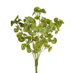 Buquê_Folhas_X7_Verde_Ref.57786004_Grillo
