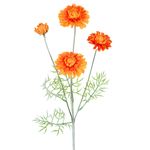 Haste_Zínnia_X4_Laranja_Ref.62974015_Grillo