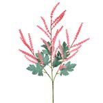 Haste_Trigo_Silvestre_Coral_Ref.62986163_Grillo