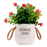 Vaso_Frases_Alças_Planta_Sortida_Harmonia_Plástico_10x10x19,5cm_LM3723_-_honeyhome