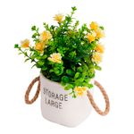 Vaso_Frases_Alças_Planta_Sortida_Harmonia_Plástico_10x10x19,5cm_LM3723_-_honeyhome